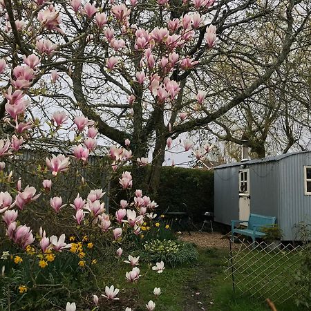 The Wayside Shepherd Hut บิวลี ภายนอก รูปภาพ