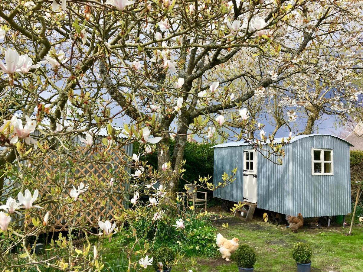 The Wayside Shepherd Hut บิวลี ภายนอก รูปภาพ